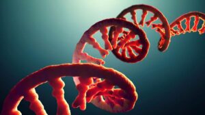I chimici britannici ricreano il collegamento mancante tra RNA e aminoacidi nella storia dell'origine della vita