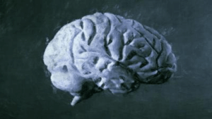 dipinto di un cervello grigio