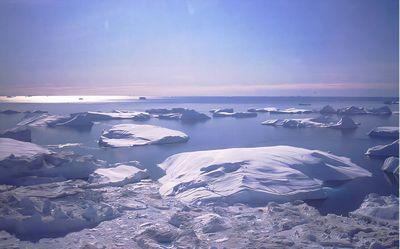 disko-bay-greenland-s.jpg