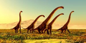 Illustrazione di un branco di dinosauri Giraffatitan che viaggiano attraverso una pianura erbosa in Africa durante il Periodo Giurassico.