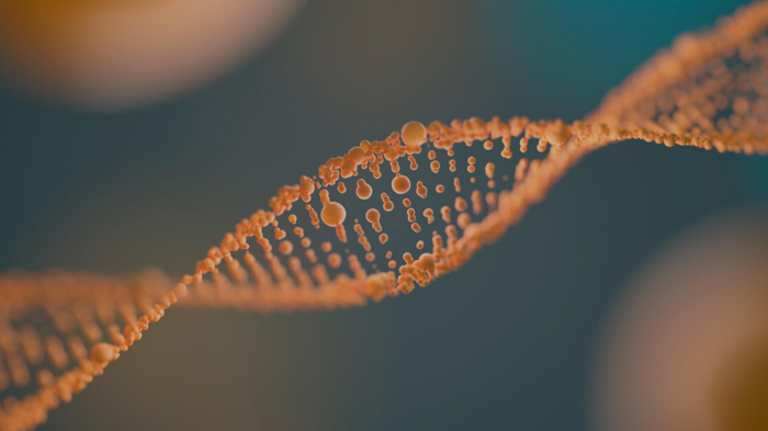 image-1920x1080-2025-08-10T160503.546.png