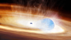 Gli astronomi potrebbero aver osservato la morte di una stella mentre divoravano un buco nero: rapporto