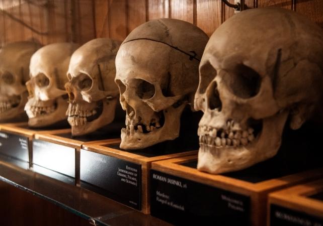 teschi sono museo Mütter