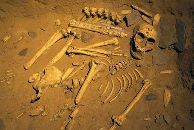neanderthal-remains-s.jpg