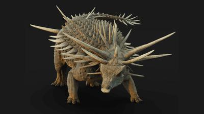 oldest-ankylosaur-s.png