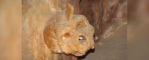 Teschio misterioso fuso alla parete della caverna potrebbe appartenere a una rara specie umana