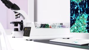 Cervello coltivato in laboratorio alimentato da 800.000 neuroni umani che gioca a Pong