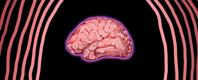 BrainShape-642x260-1.jpg