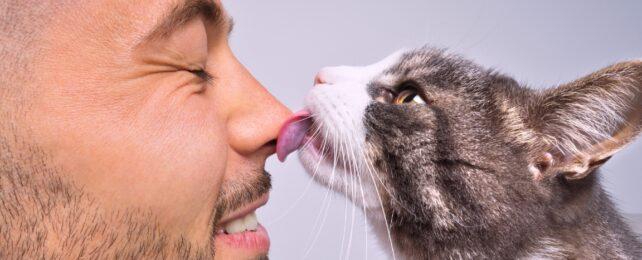 CatLickingMansClosedEyedFace-642x260-1.jpg