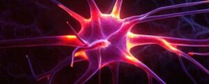 Neurone in attivazione