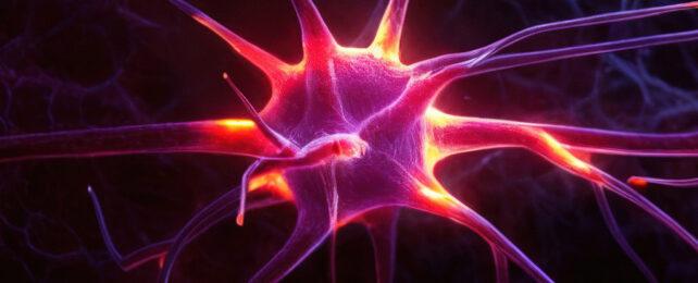 FiringNeuron-642x260-1.jpg