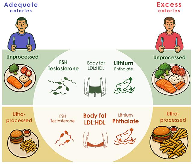 Grafica alimentare