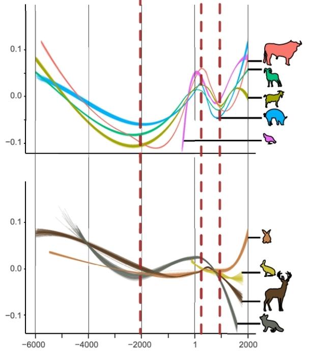 Due grafici che confrontano le variazioni della massa corporea nel tempo per animali selvatici e domestici