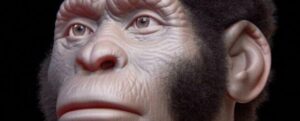 Questa specie ha seppellito i suoi morti 120.000 anni prima di noi? Nuove affermazioni riaccendono il dibattito
