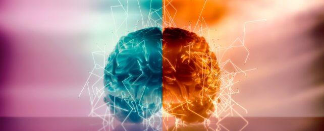 HalfAndHalfBrainIllustration-642x260-1.jpg