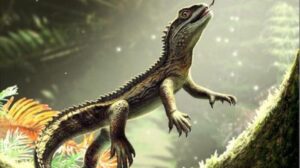 Fossile di 242 milioni di anni fa rivela segreti inaspettati del più antico antenato delle lucertole