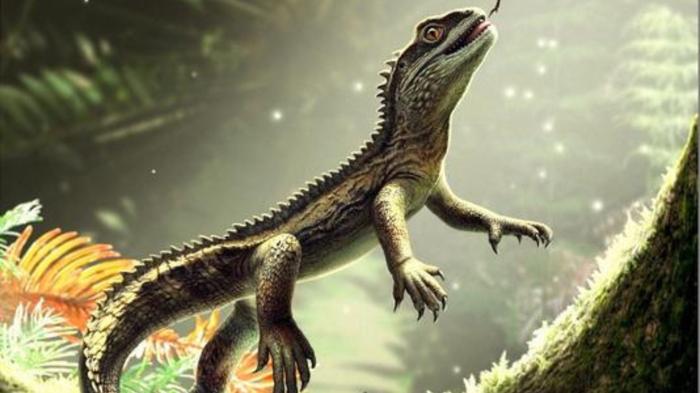 Fossile di 242 milioni di anni fa rivela segreti inaspettati del più antico antenato delle lucertole