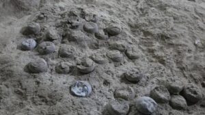 Orologio atomico laser rivela l'età precisa delle uova di dinosauro in Cina, un primo