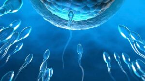 Baby booster: La fertilità maschile è collegata a proteine che mantengono gli spermatozoi in movimento, non a riposo