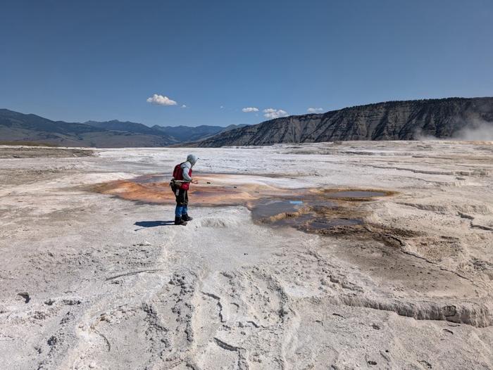 Estrazione di rifiuti trasportati dal vento da una caratteristica termale nel Parco Nazionale di Yellowstone