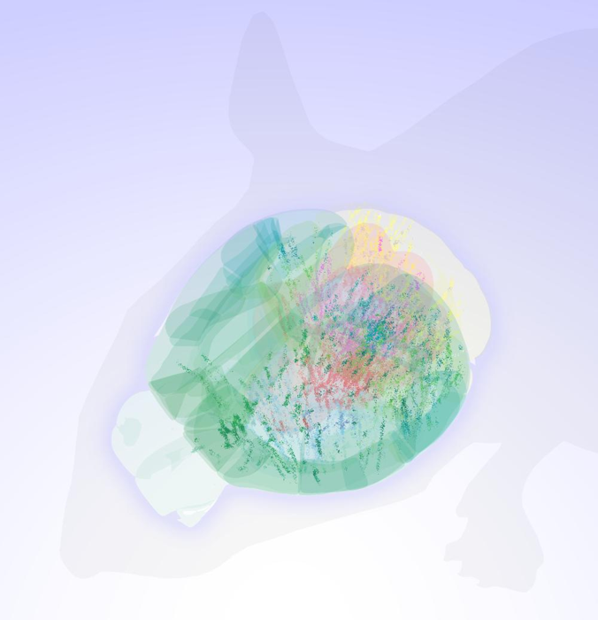 un cervello di topo mappato che mostra attività in molte regioni