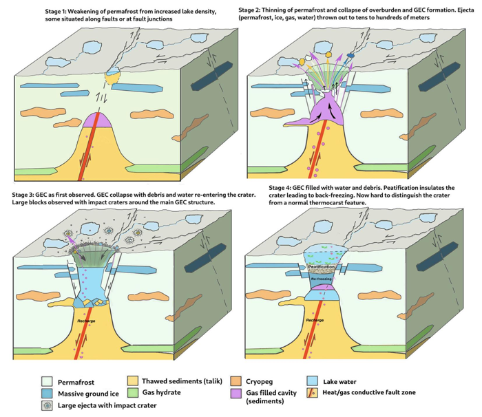 diagramma che mostra quattro fasi della formazione del GEC. 1 indebolimento del permafrost a causa dell'aumento della densità dei laghi, alcuni lungo le linee di faglia. 2 assottigliamento del permafrost e collasso, formazione del GEC, materiale espulso da decine a centinaia di metri. 3 GEC come primo osservato. 4 GEC si riempie di acqua e detriti, la torbificazione isola il cratere portando a un congelamento inverso. il cratere è camuffato come una normale caratteristica termocarsica.