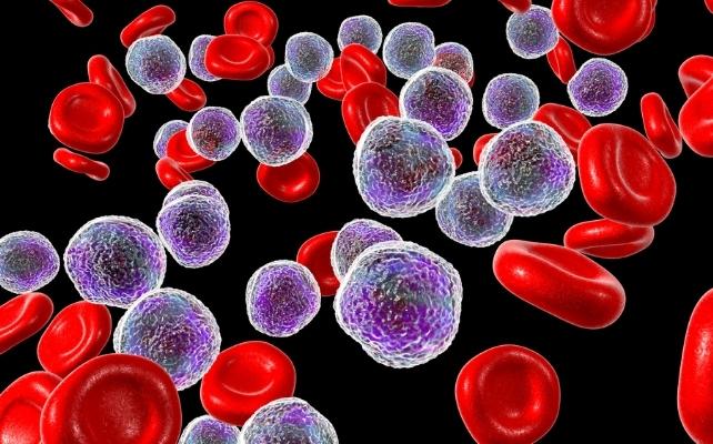 cellule immunitarie
