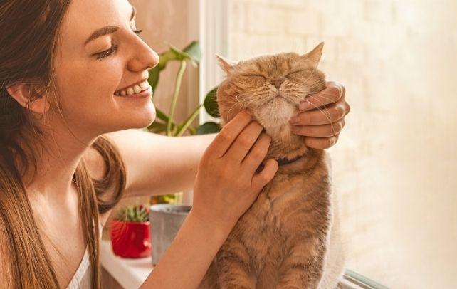 Le scansioni rivelano che possedere un gatto cambia il tuo cervello (e il loro)