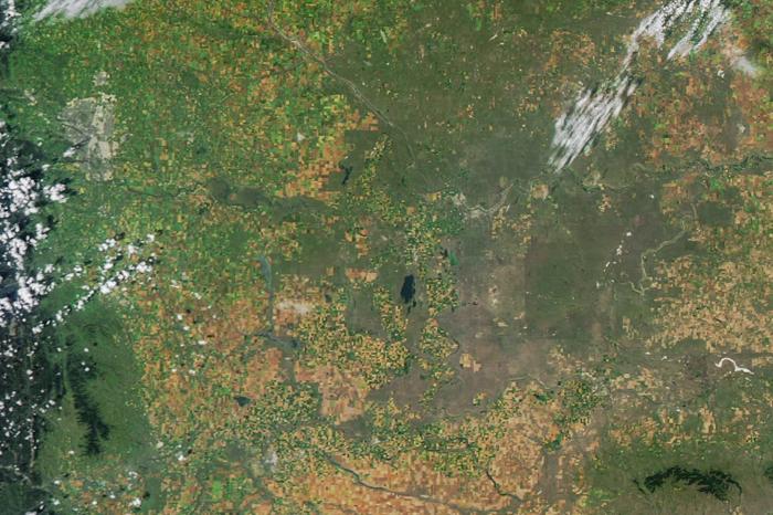 Immagine satellitare dell'Alberta, scattata il 19 agosto 2025.