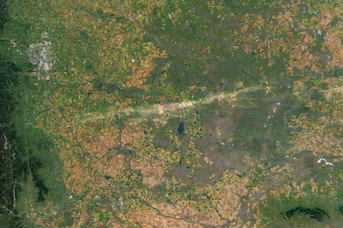 Immagine satellitare dell'Alberta, Canada, scattata il 24 agosto 2025, che mostra una cicatrice attraverso il paesaggio lasciata da una grandinata.