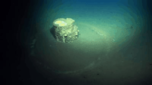 barile di sostanze chimiche misteriose sul fondo del mare al largo di Los Angeles