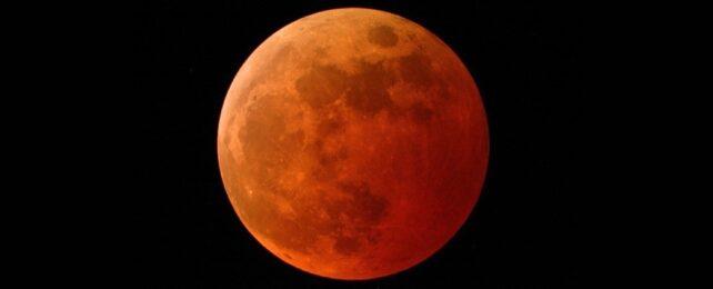 blood-moon-cover-642x260-1.jpg