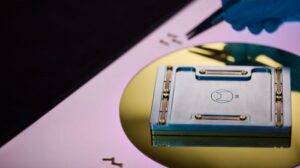 I qubit del gatto quantistico rimangono stabili per oltre un'ora, infrangendo il precedente record