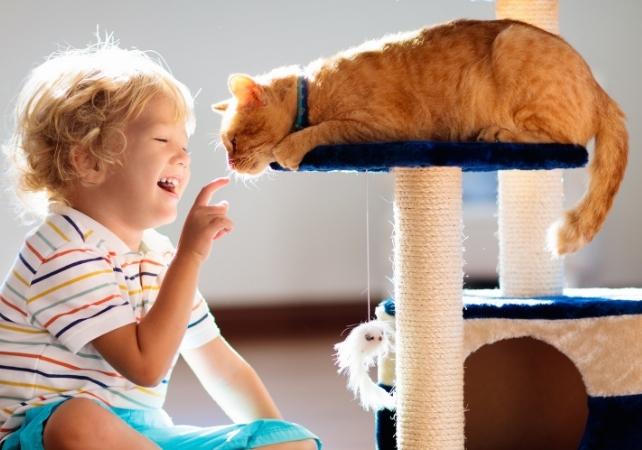 bambino che gioca con un gatto