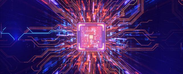 chip-642x260-1.jpg