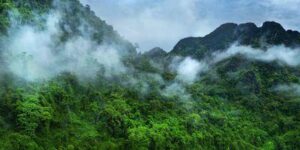 Nebbia mattutina sulla chioma delle montagne della foresta pluviale