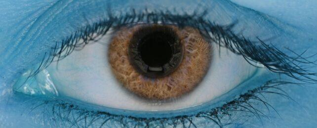 eye_color_header-642x260-1.jpg