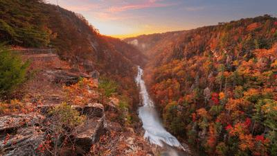 fall-foliage-s.png