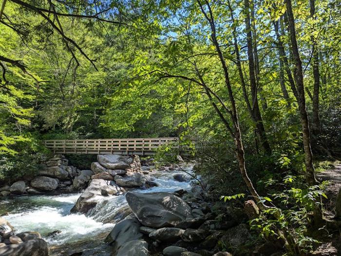Un fiume impetuoso scorre lungo una costa rocciosa all'interno di una foresta verdeggiante. Un ponte di legno attraversa l'acqua.