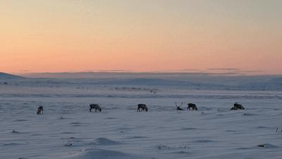 graze-on-s.png