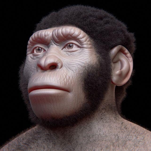 Volto di Naledi