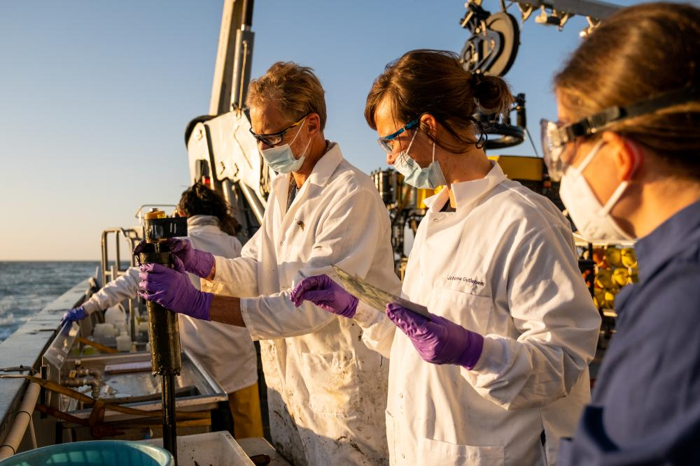gli scienziati testano campioni di sedimenti da aloni misteriosi attorno ai barili gettati al largo della costa di Los Angeles
