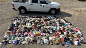 Cappelli raccolti dal Programma di Geologia del Parco Nazionale di Yellowstone da aree termali sensibili nel 2025