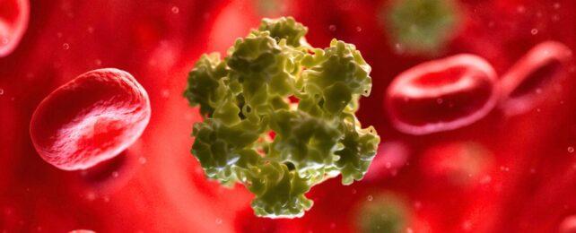 Grafica dell'HPV nel flusso sanguigno