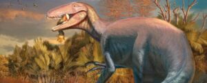 Nuova specie di 'Megaraptor' trovata con l'ultimo pasto scioccante ancora nella bocca