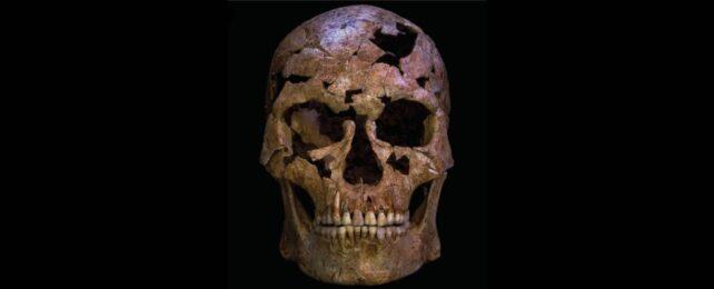 Le ossa di 12.000 anni fa potrebbero essere una delle prime vittime di omicidio conosciute