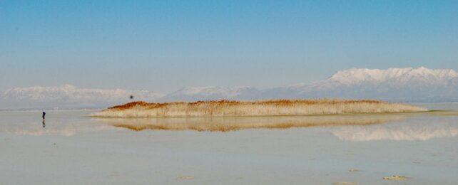 mystery-island-642x260-1.jpg