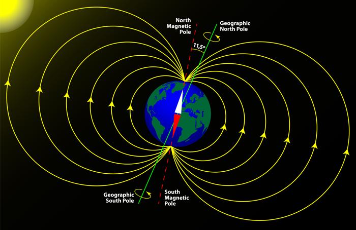 Nota come la linea del campo magnetico sia relativamente orizzontale all'equatore, ma quasi verticale ai poli. Nota come la linea del campo magnetico sia relativamente orizzontale all'equatore, ma quasi verticale ai poli.