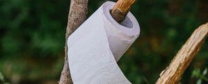 carta igienica su un ramo