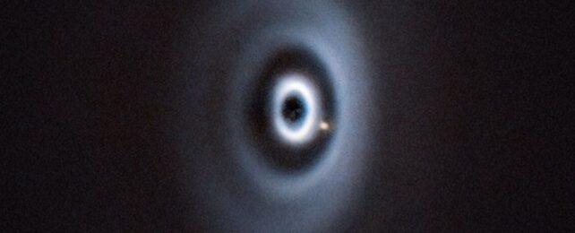 wispit-2-642x260-1.jpg